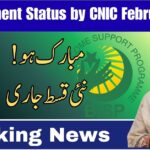 BISP payment status check by CNIC 2026 guide using 8171 portal